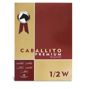 Block 1/2w 180gr  Caballito Premium 10 Hojas