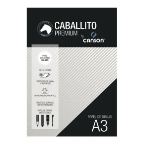 Block a3 180gr x20h caballito & canson