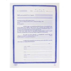 Vales en $ y dolares bloc x50