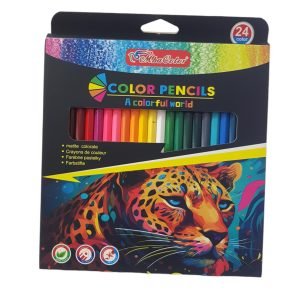 Lápices de colores x24
