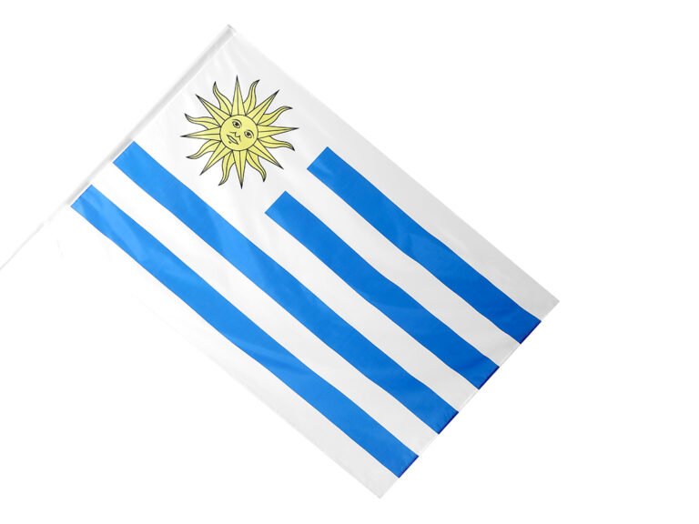 Bandera de uruguay 90x150cm